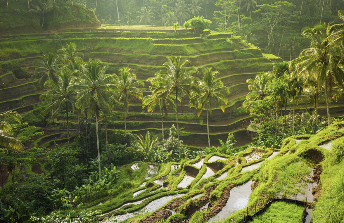 Top 10 best attractions in Bali what to see, where to go — Exploratory